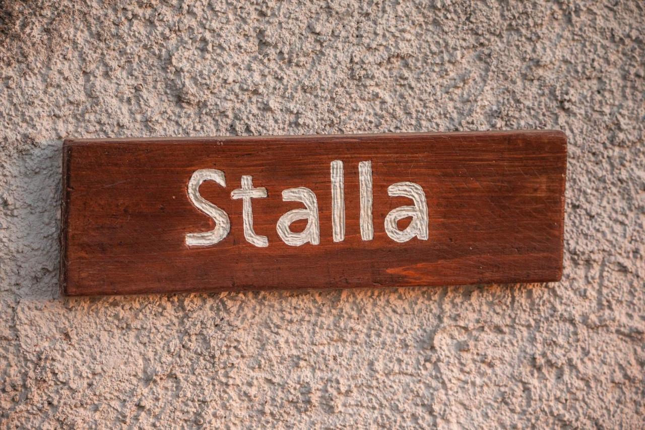 Albanella B&B La Mortella מראה חיצוני תמונה